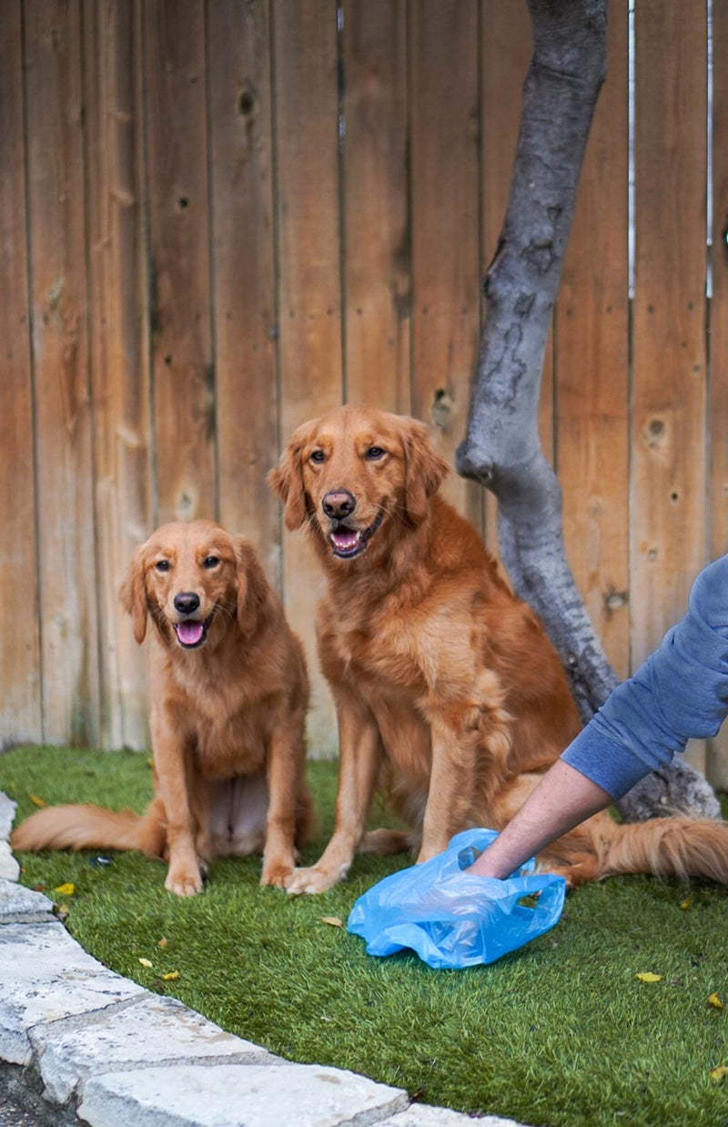 Four Paws Wee-Wee Outdoor Odor Control Heavy Duty Dog Waste Bags Refill Rolls (120 Count) - Image 2